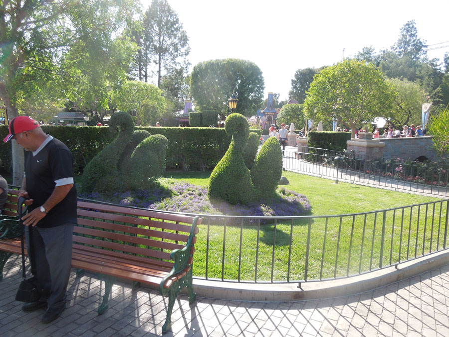 Disneyland Center Circle Picture